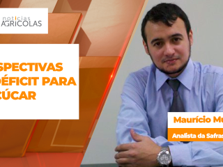 BOLETINS THUMB AÇUCAR