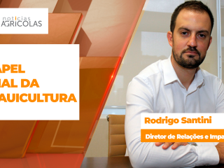 BOLETINS THUMB CACAU
