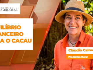 BOLETINS THUMB CACAU