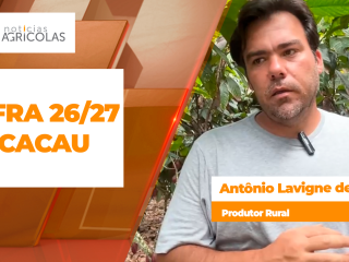 BOLETINS THUMB CACAU