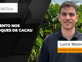 BOLETINS THUMB CACAU