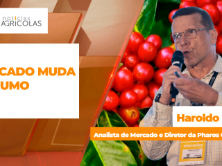 BOLETINS THUMB CAFÉ