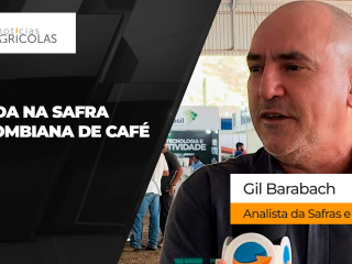 BOLETINS THUMB CAFÉ