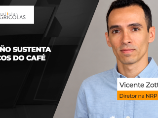 BOLETINS THUMB CAFÉ