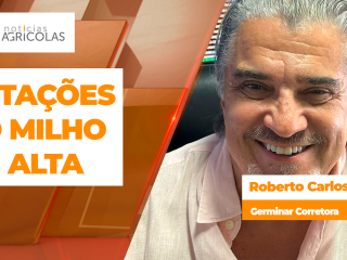 BOLETINS THUMB MILHO