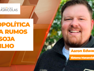 BOLETINS THUMB SOJA