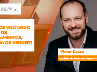 BOLETINS THUMB VICTOR CAZZO