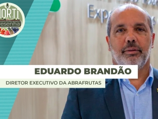 BRANDAO 2
