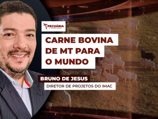 bruno