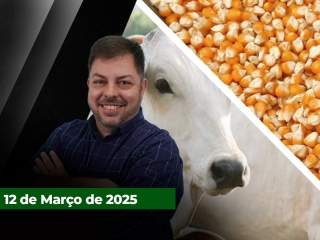 CAPA DO YOUTUBE FECHA ALEKS (1)