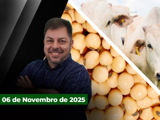 CAPA DO YOUTUBE FECHA ALEKS (1)