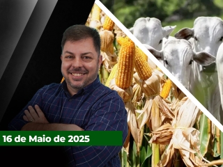 CAPA-DO-YOUTUBE-FECHA-ALEKS