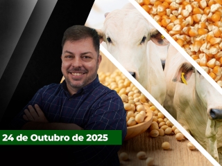 CAPA DO YOUTUBE FECHA ALEKS