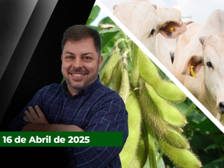 CAPA-DO-YOUTUBE-FECHA-ALEKS