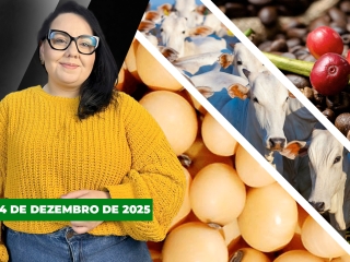 CAPA DO YOUTUBE FECHA ALEKS