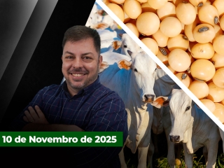 CAPA DO YOUTUBE FECHA ALEKS