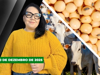 CAPA DO YOUTUBE FECHA ALEKS