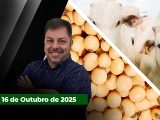 CAPA DO YOUTUBE FECHA ALEKS