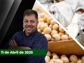 CAPA-DO-YOUTUBE-FECHA-ALEKS