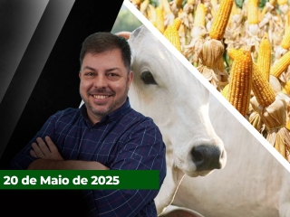 CAPA-DO-YOUTUBE-FECHA-ALEKS