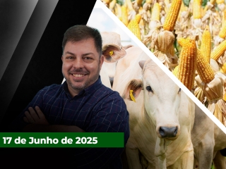 CAPA DO YOUTUBE FECHA ALEKS