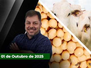 CAPA DO YOUTUBE FECHA ALEKS