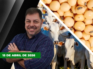 CAPA DO YOUTUBE FECHA ALEKS