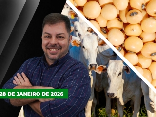 CAPA DO YOUTUBE FECHA ALEKS