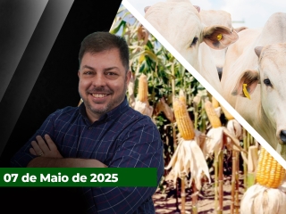 CAPA-DO-YOUTUBE-FECHA-ALEKS