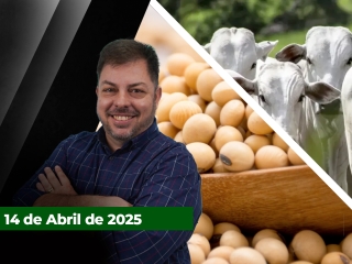 CAPA-DO-YOUTUBE-FECHA-ALEKS