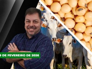 CAPA DO YOUTUBE FECHA ALEKS