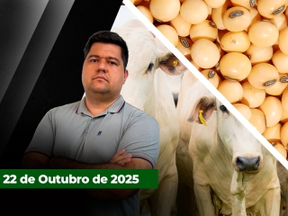 CAPA DO YOUTUBE FECHA ALEKS