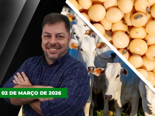 CAPA DO YOUTUBE FECHA ALEKS