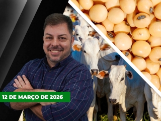 CAPA DO YOUTUBE FECHA ALEKS