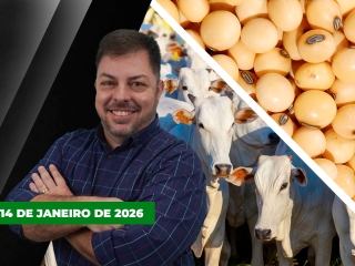 CAPA DO YOUTUBE FECHA ALEKS