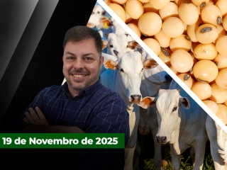 CAPA DO YOUTUBE FECHA ALEKS