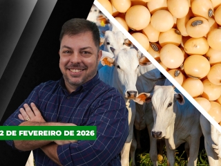 CAPA DO YOUTUBE FECHA ALEKS