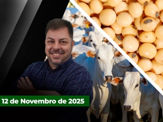 CAPA DO YOUTUBE FECHA ALEKS