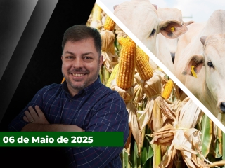 CAPA-DO-YOUTUBE-FECHA-ALEKS