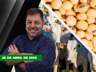 CAPA DO YOUTUBE FECHA ALEKS