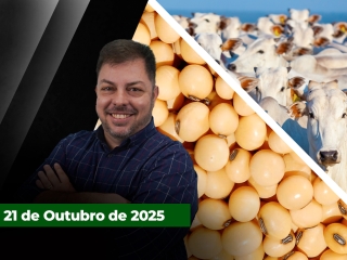 CAPA DO YOUTUBE FECHA ALEKS