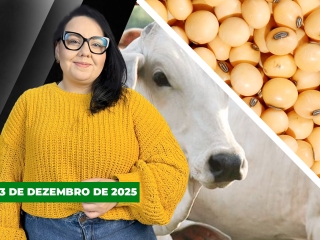 CAPA DO YOUTUBE FECHA ALEKS