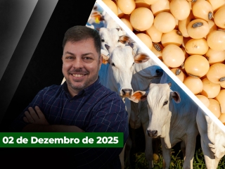 CAPA DO YOUTUBE FECHA ALEKS