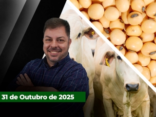 CAPA DO YOUTUBE FECHA ALEKS