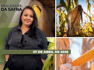 CAPA DO YOUTUBE_REALIDADES-ÍNTEGRA