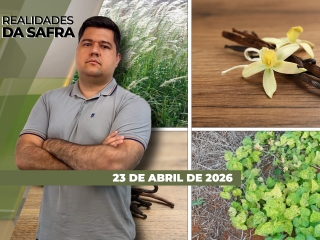 CAPA DO YOUTUBE_REALIDADES-ÍNTEGRA2