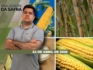 CAPA DO YOUTUBE_REALIDADES-ÍNTEGRA2