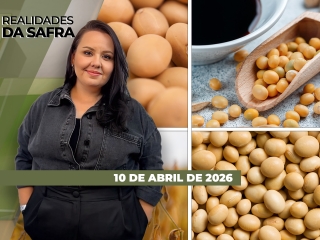 CAPA DO YOUTUBE_REALIDADES-ÍNTEGRA2