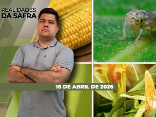 CAPA DO YOUTUBE_REALIDADES-ÍNTEGRA2