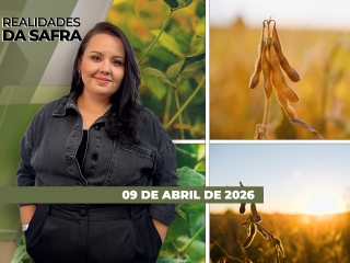 CAPA DO YOUTUBE_REALIDADES-ÍNTEGRA2